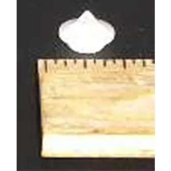 Spring Pivot Bushing Professional Grade