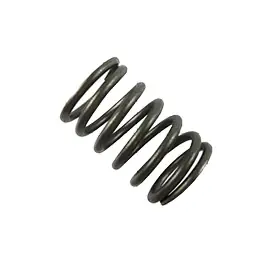 Spring Valve Today Only