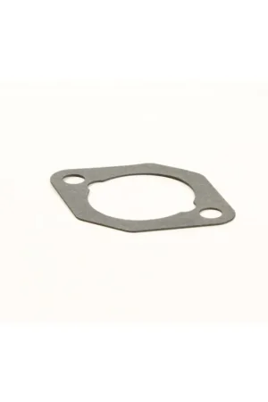 Intake Gasket One Day Deal