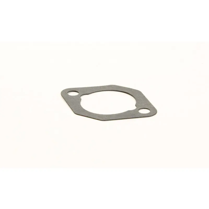 Intake Gasket One Day Deal