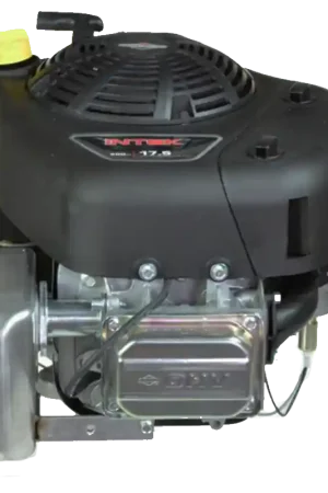 Intek 500 cc Vertical Engine Secure Checkout