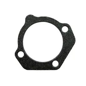 Time-Limited Kohler Gasket