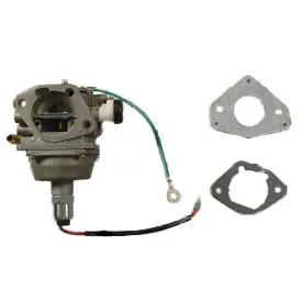 Authentic Kohler Kit Carburetor W/Gas
