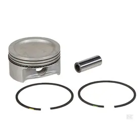 Top Rated Kohler Kit Piston Assy W/Rist Pin