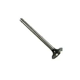Today Only Kohler Valve