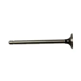 Trending Kohler Valve Exhaust