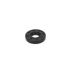 Authentic Lip Seal