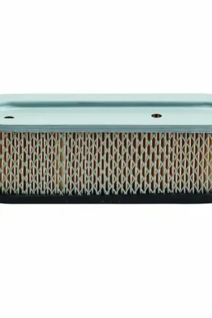 Replacement Air Filter Briggs & Stratton Popular
