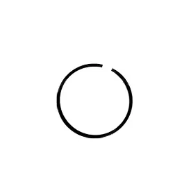 Trending Ring Piston