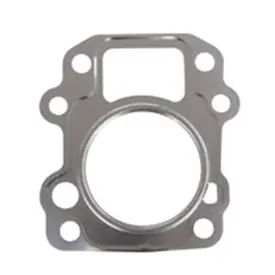 Cylinder Head Gasket Final Sale