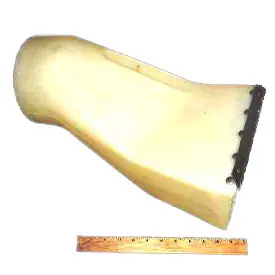 Top Rated Discharge Chute, Cs/Sw