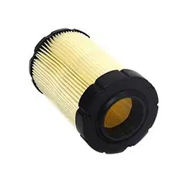 While Supplies Last Filter Air Cleaner