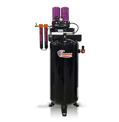 Today Only Tsunami Pure-10T 21999-0955-220 40 CFM Pure Regenerative Dryer - Tank Mounted - 220 Volt